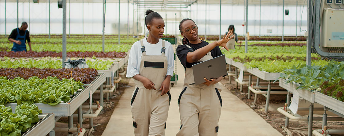 B-BBEE Basics for Businesses 1 B-BBEE Basics for Businesses | TMMBS