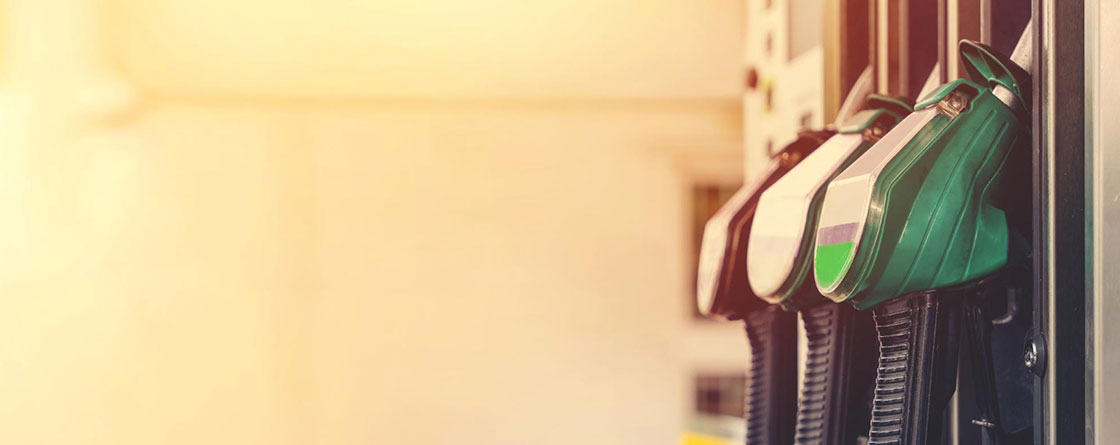 The effects of fuel prices on the economy 1 The effects of fuel prices on the economy